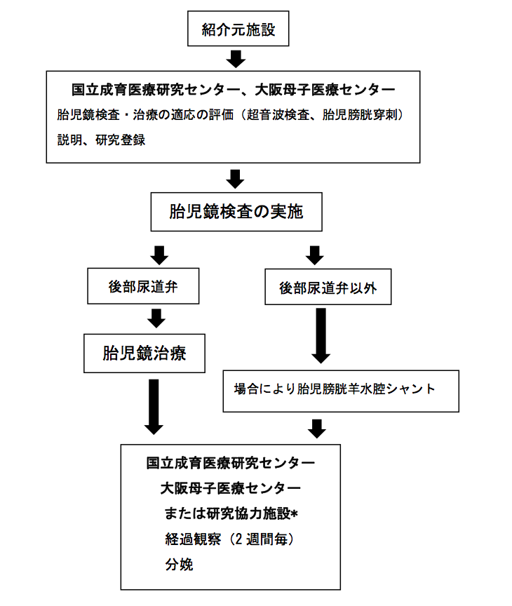 研究対象